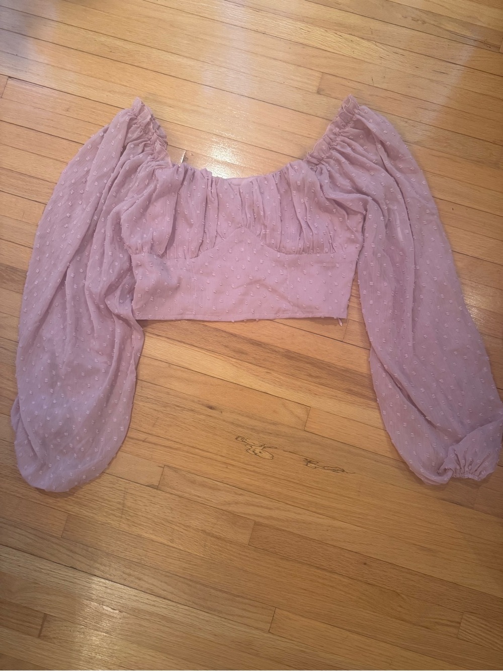 Shein Blush Pink Swiss Dot Off-Shoulder Long Sleeve Crop Top M
